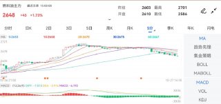 10月27日期货软件走势图综述：燃料油期货主力涨173%