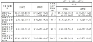 国投资本通过全资子公司安信证券及其子公司向各类客户提供证券经纪、自营业