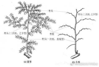 山西占10.10%？mt4交易平台资讯